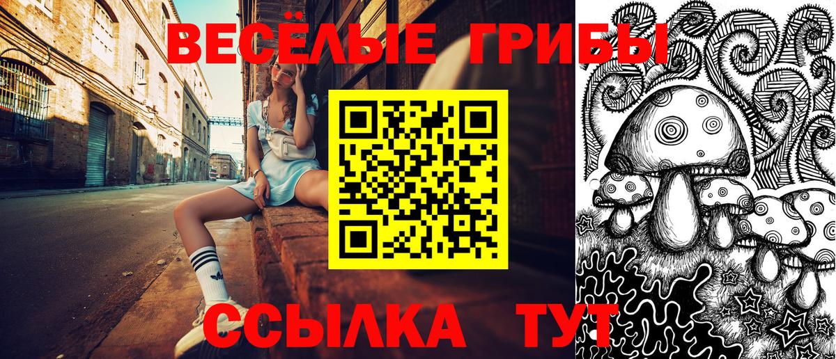 Владикавказ  хочу   Вход с VPN  Псилоцибиновые грибы ЛСД 